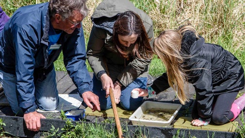 A group of visitors pond dipping at Wicken Fen National Nature Reserve, Cambridgeshire
